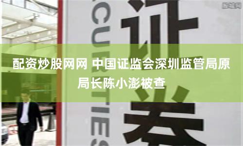配资炒股网网 中国证监会深圳监管局原局长陈小澎被查
