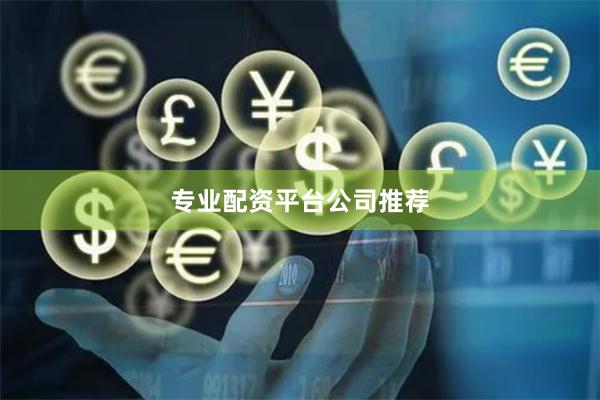 专业配资平台公司推荐