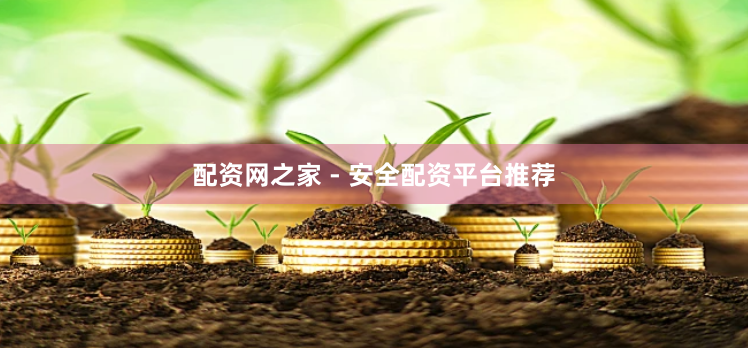 配资网之家 - 安全配资平台推荐